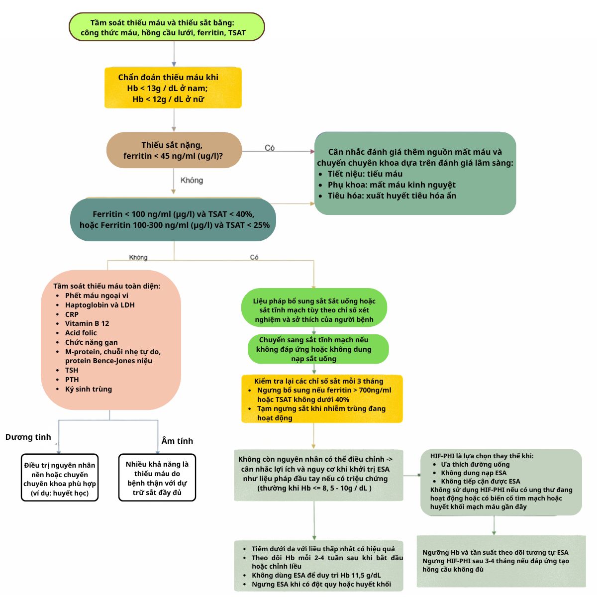 Quản lý thiếu máu ở bệnh thận mạn chưa điều trị bằng lọc máu