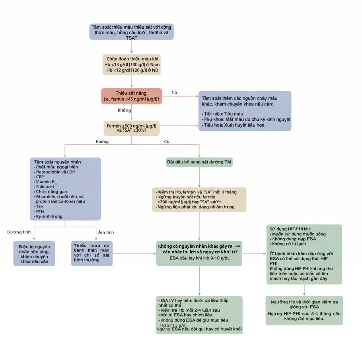 Quản lý thiếu máu ở bệnh thận mạn đang lọc máu