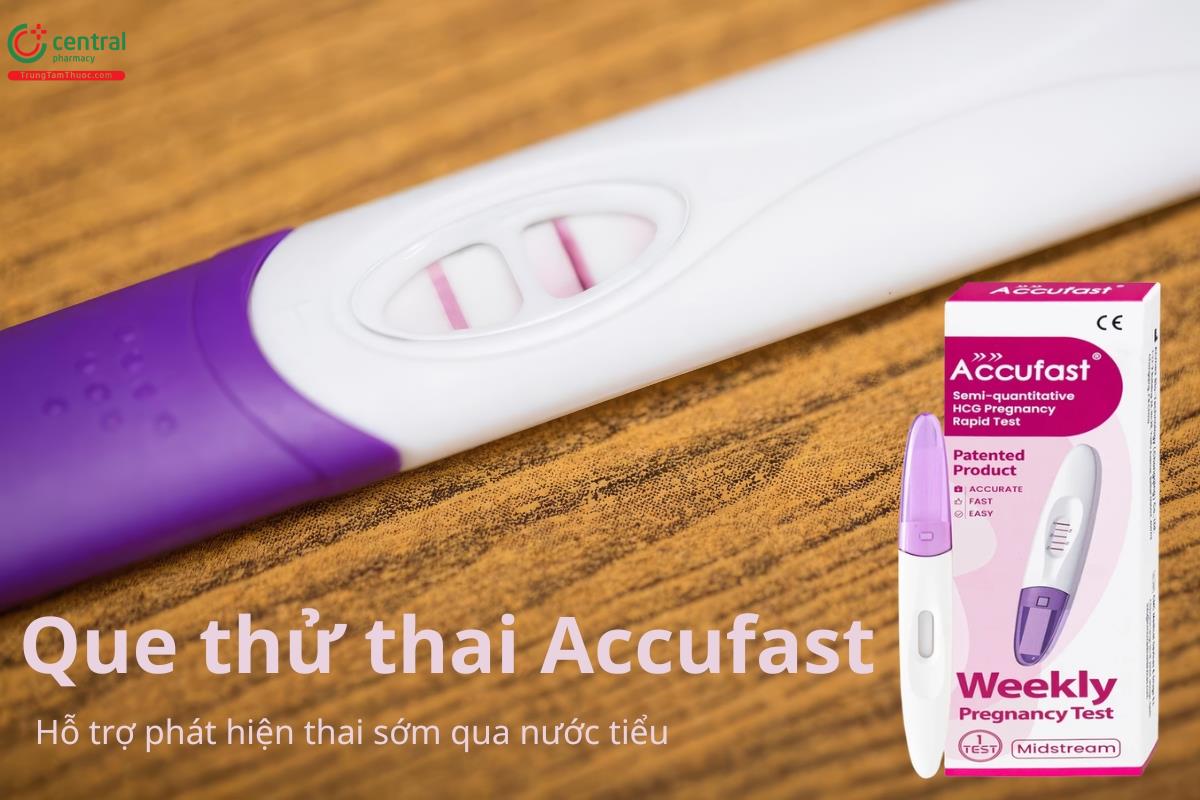 Que thử thai Accufast hỗ trợ phát hiện thai sớm qua nước tiểu