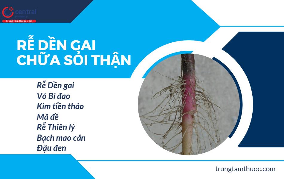 Rau Dền gia chữa sỏi thận hiệu quả