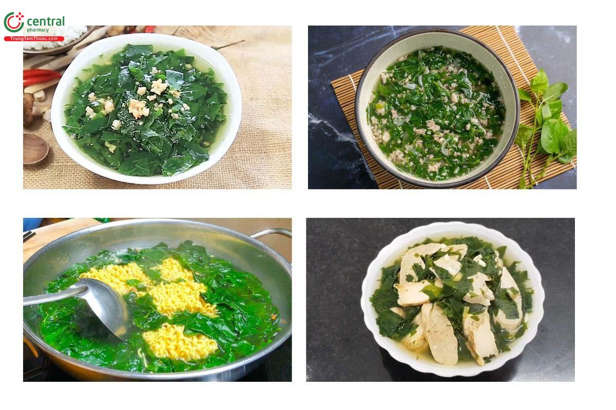 Các món ăn ngon chế biến từ cây Rau ngót