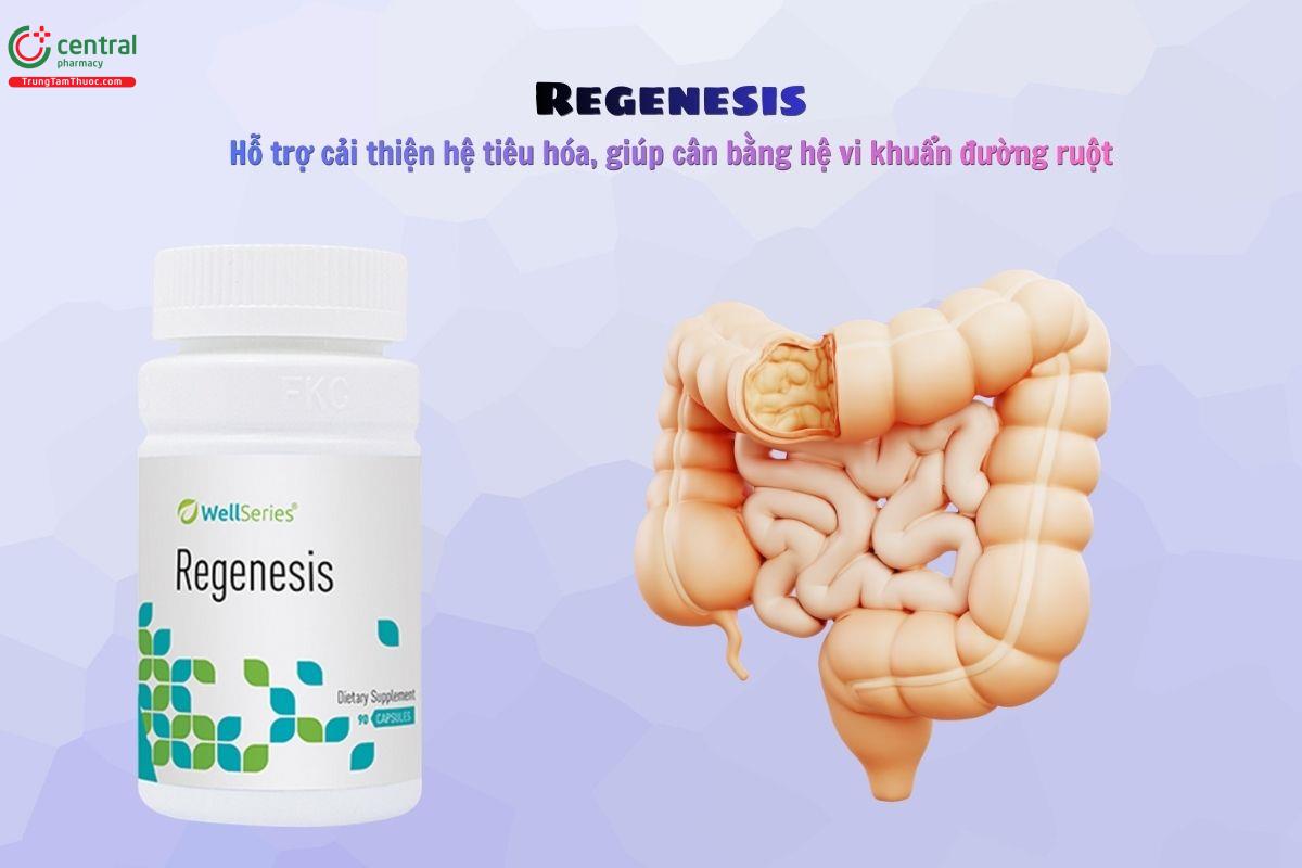 Regenesis hỗ trợ cân bằng vi sinh đường ruột, cải thiện tiêu hóa