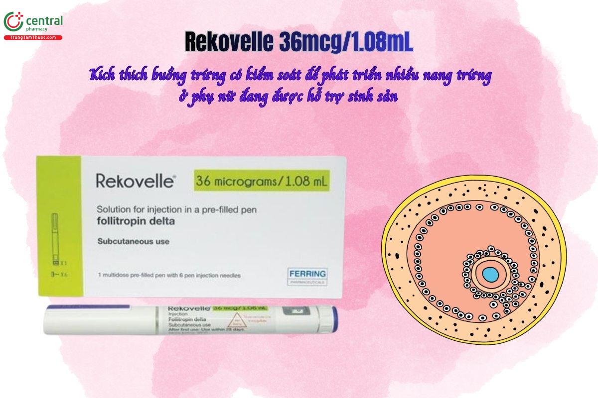 Thuốc tiêm Rekovelle 36mcg/1,08ml kích thích buồng trứng có kiểm soát