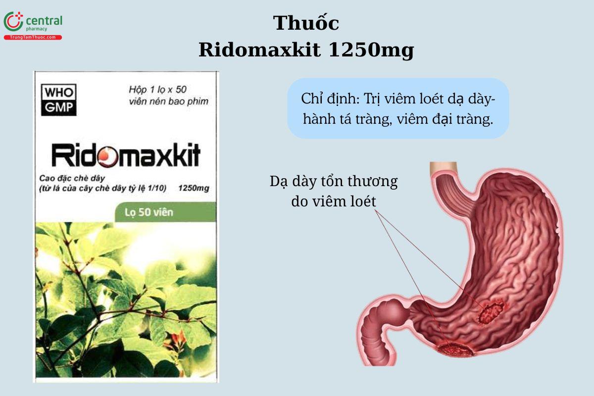 Chỉ định của thuốc Ridomaxkit 1250mg