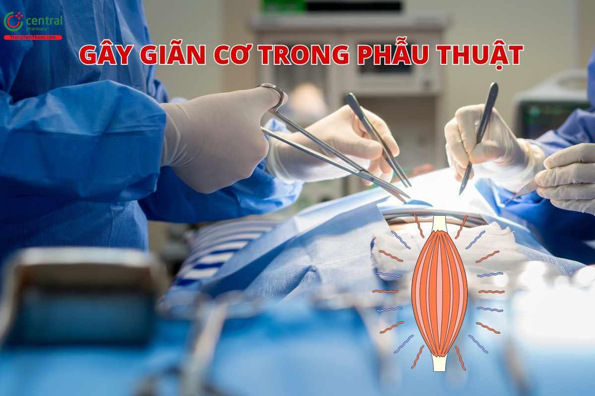 Chỉ định của Rocuronium bromid