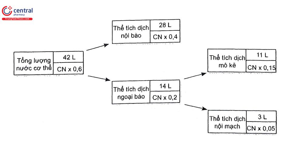 rối loạn điện giải