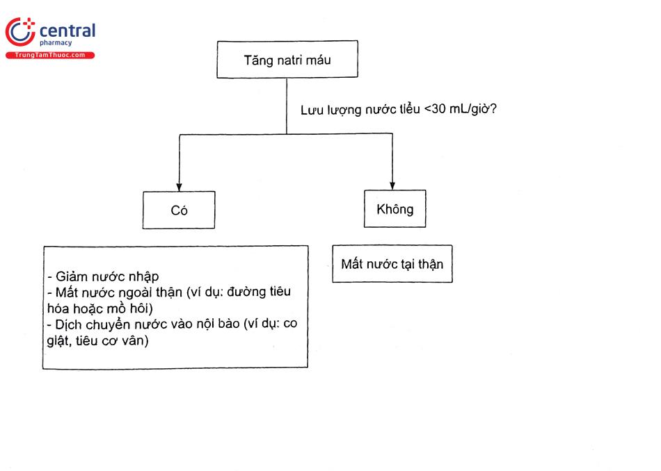 rối loạn điện giải