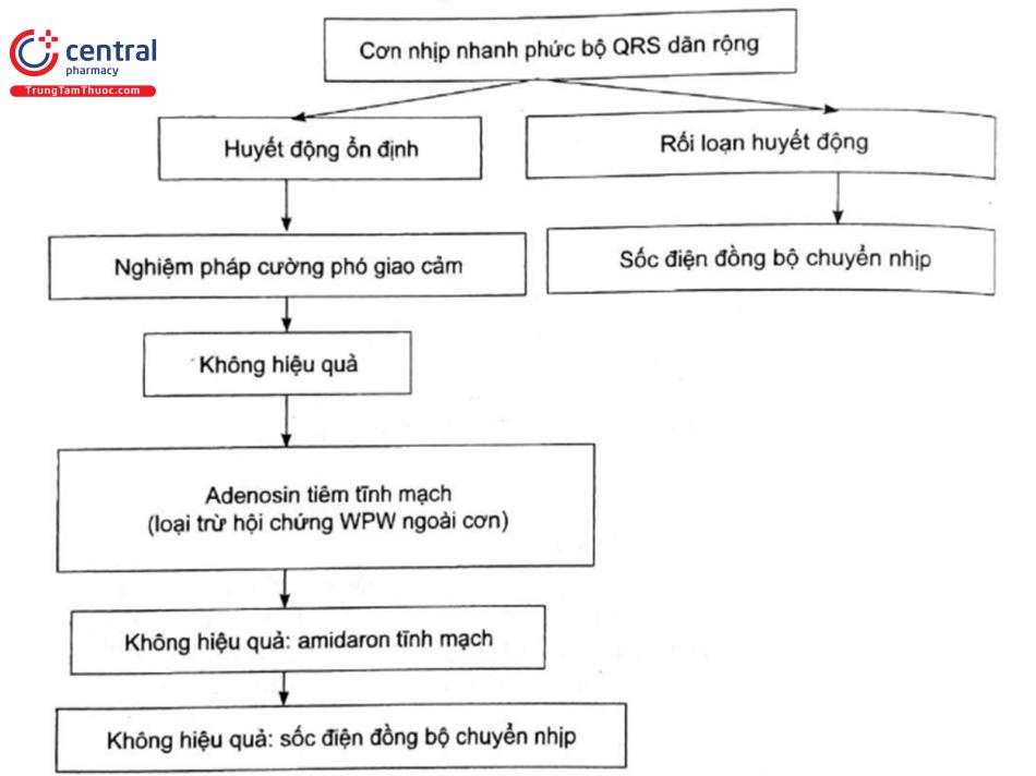 Sơ đồ 4. Xử trí cơn nhịp nhanh phức bộ QRS dãn rộng. Nguồn: Al-Khatib SM, 2017