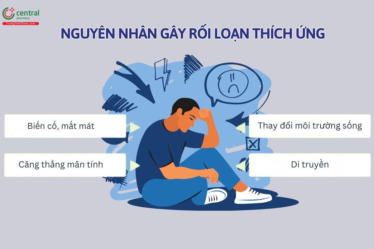 Nguyên nhân gây rối loạn sự thích ứng 