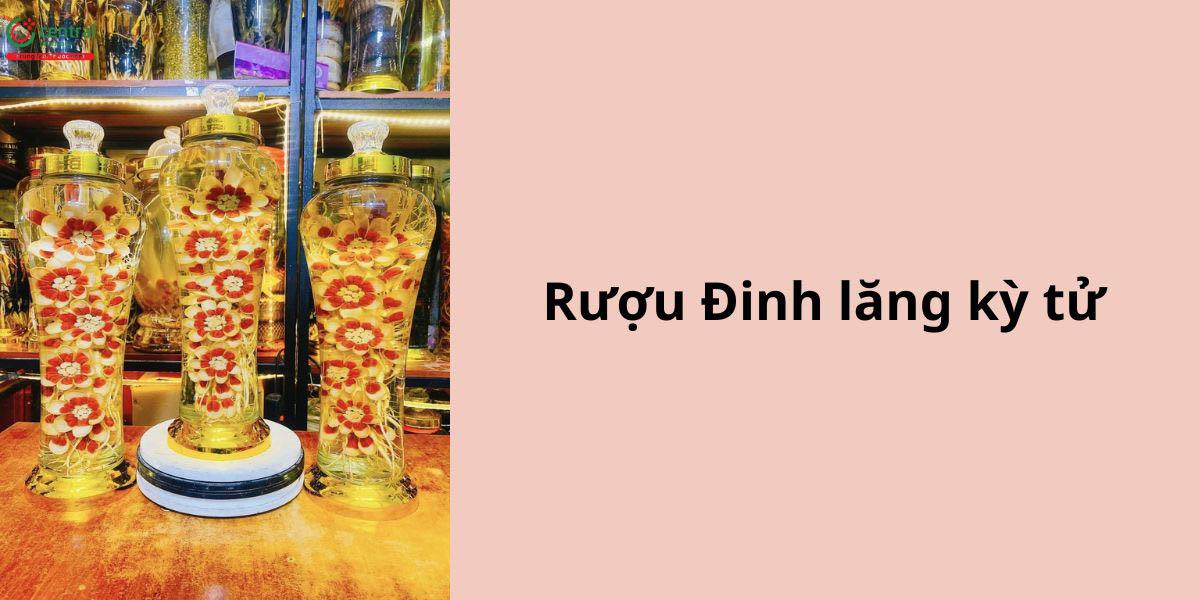 Rượu đinh lăng kỳ tử