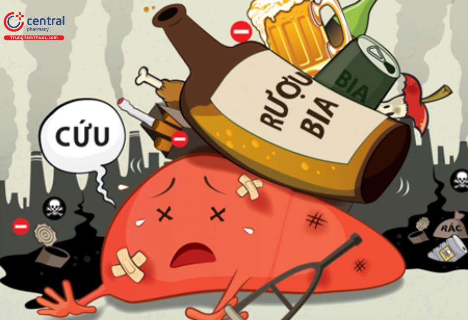Uống nhiều rượu làm suy giảm chức năng gan