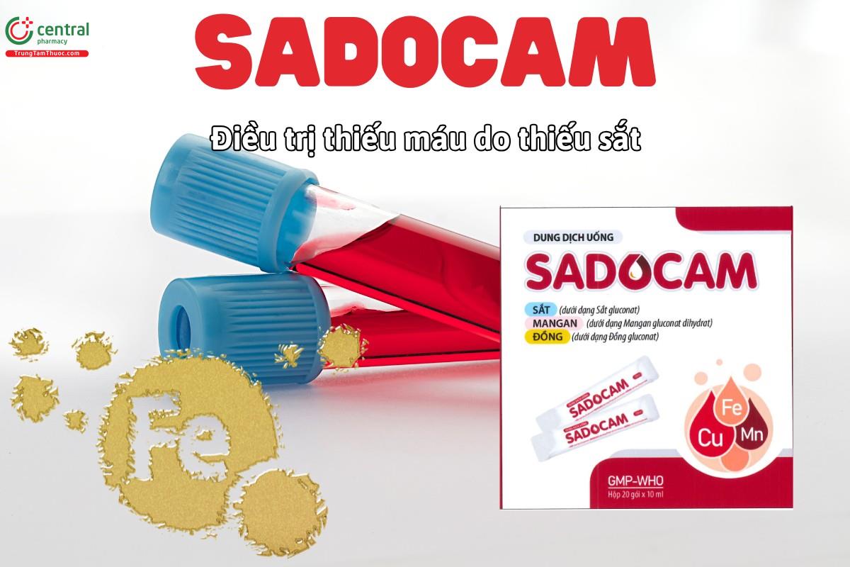 Thuốc Sadocam điều trị thiếu máu do thiếu sắt, bổ sung và ngừa thiếu sắt