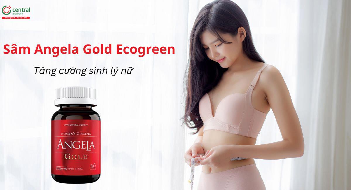 Sâm Angela Gold có tác dụng gì?