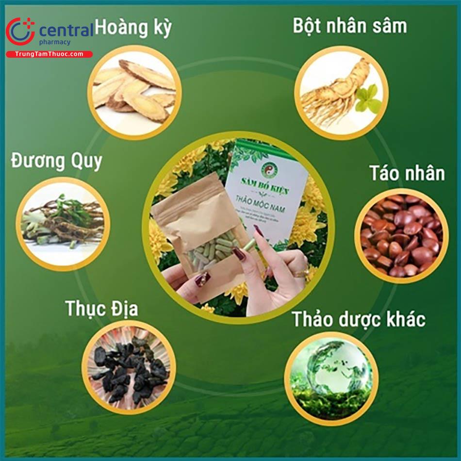 Các thành phần chính có trong Sâm Bổ Kiện Thảo Mộc Nam