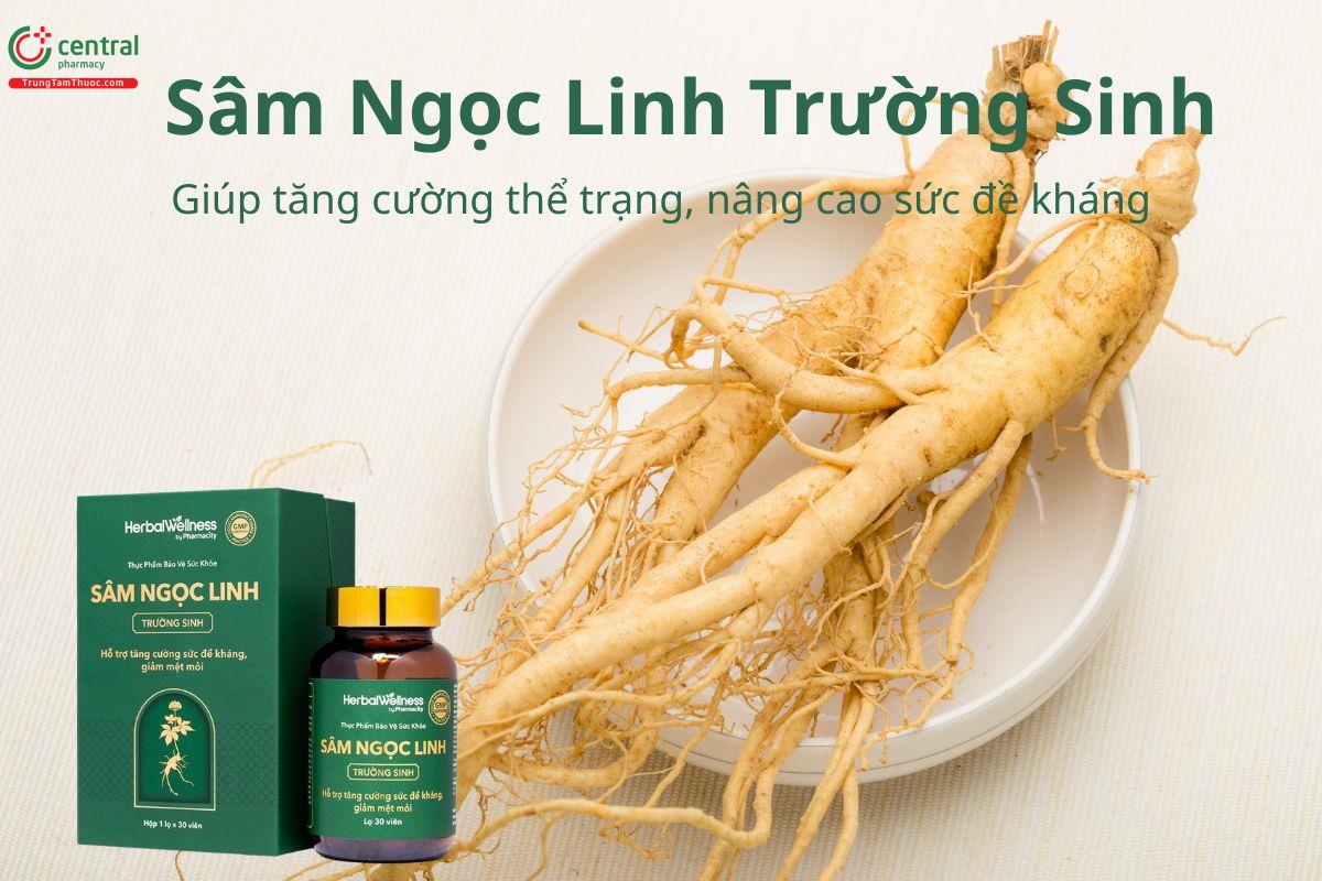 Sâm Ngọc Linh Trường Sinh giúp tăng cường thể trạng, đề kháng
