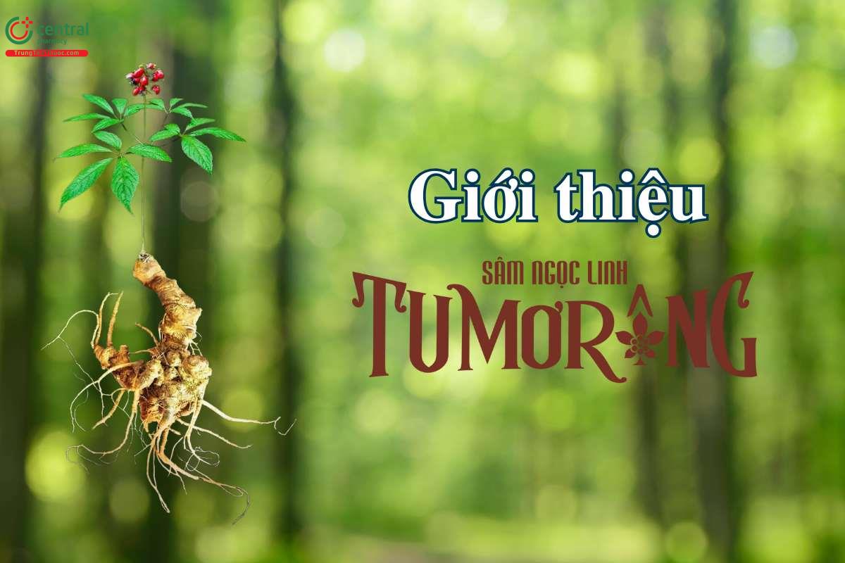 Giới thiệu Công ty Cổ phần Sâm Ngọc Linh TuMơRông Kon Tum