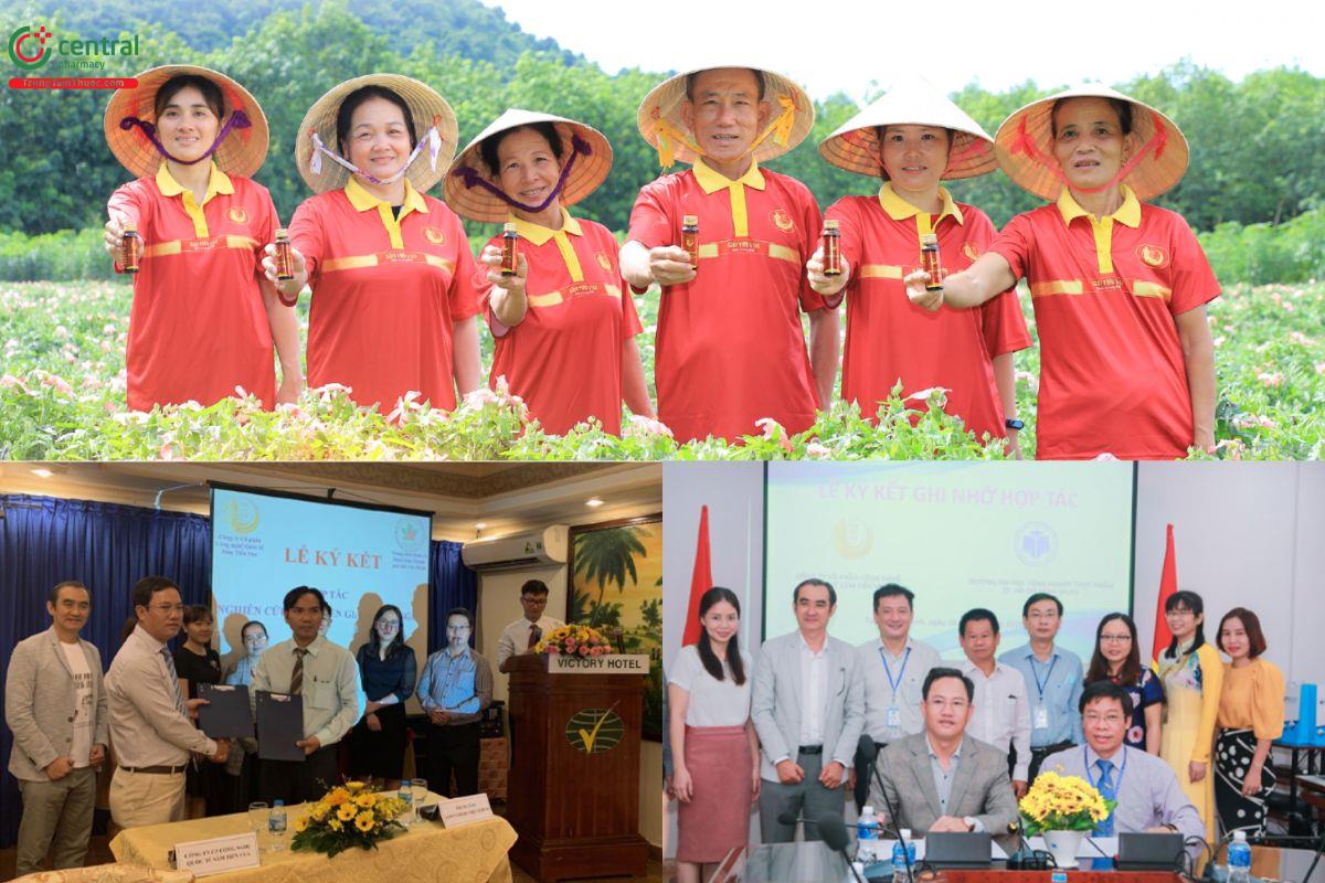 Hành trình phát triển sản phẩm từ giá trị sâm Việt