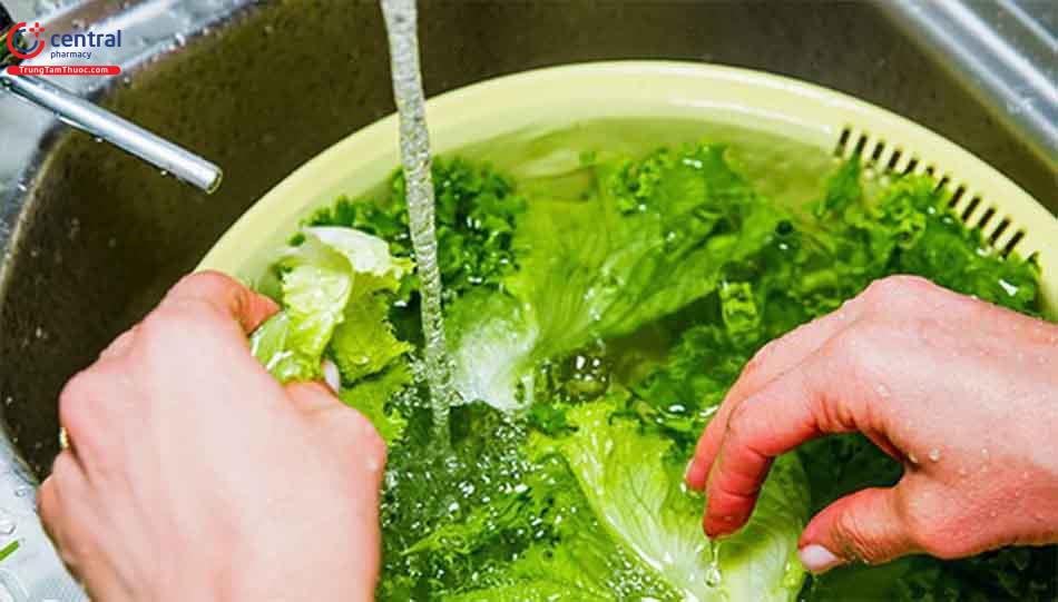 Rửa rau sạch sẽ trước khi ăn sống