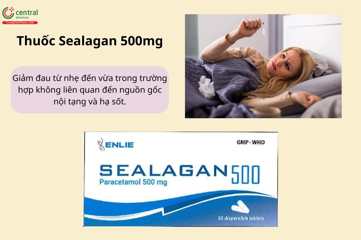 Chỉ định của thuốc Sealagan 500mg