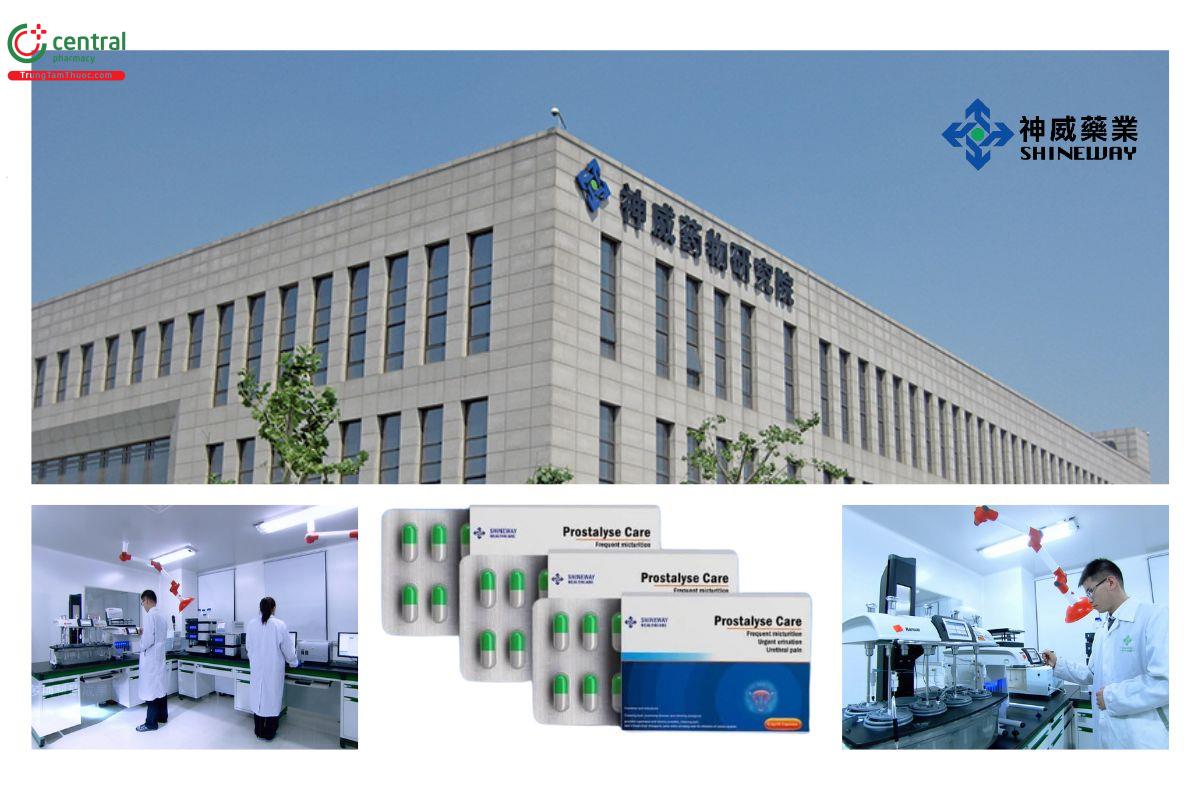 Quá trình xây dựng sản phẩm thương hiệu