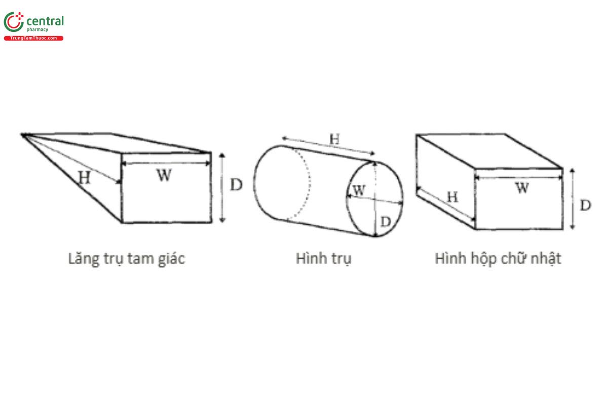 Giải phẫu bàng quang