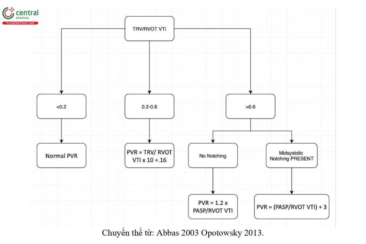 Chuyển thể từ: Abbas 2003 Opotowsky 2013.