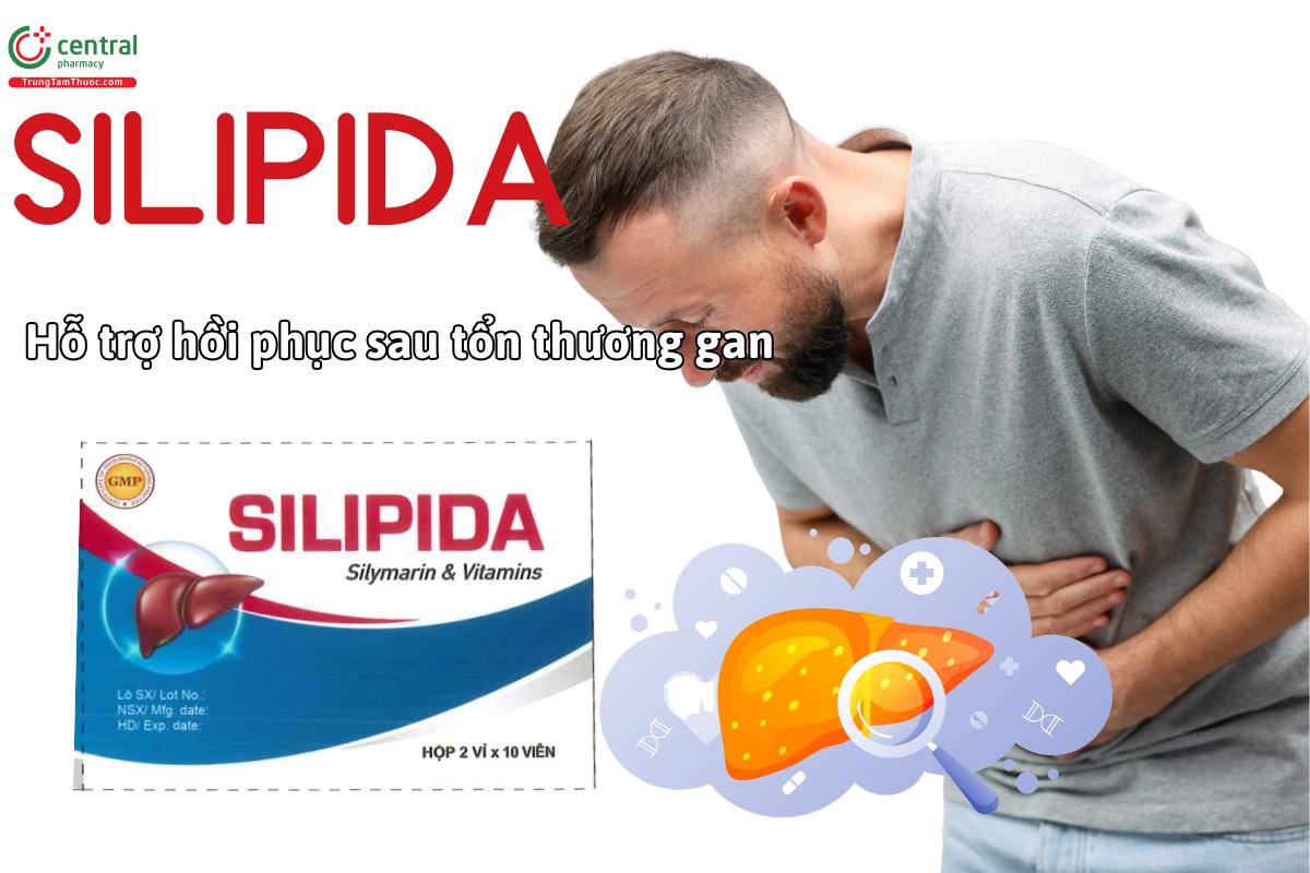 Thuốc Silipida hỗ trợ phục hồi chức năng gan sau tổn thương do các chất độc