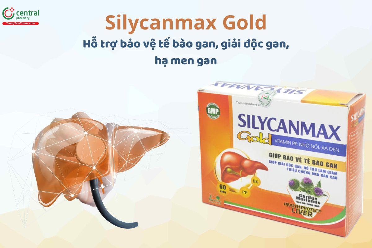 Silycanmax Gold bảo vệ tế bào gan, tăng cường chức năng gan