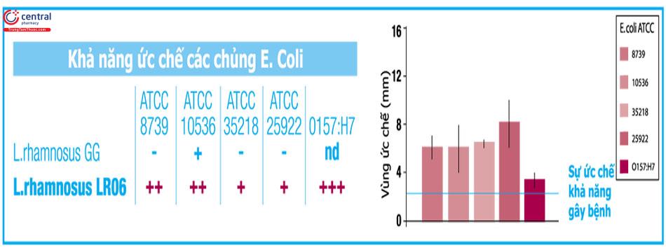 Khả năng ức chế vi khuẩn E.coli