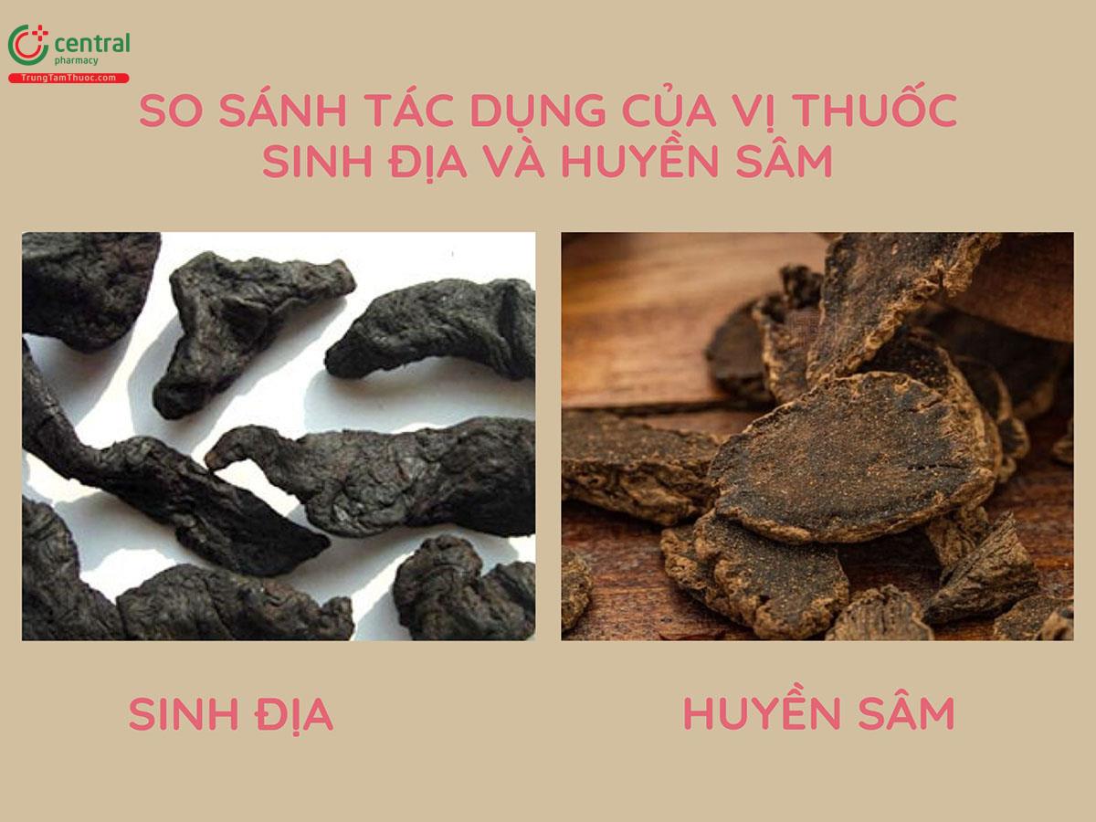 So sánh tác dụng của Sinh địa và Huyền sâm