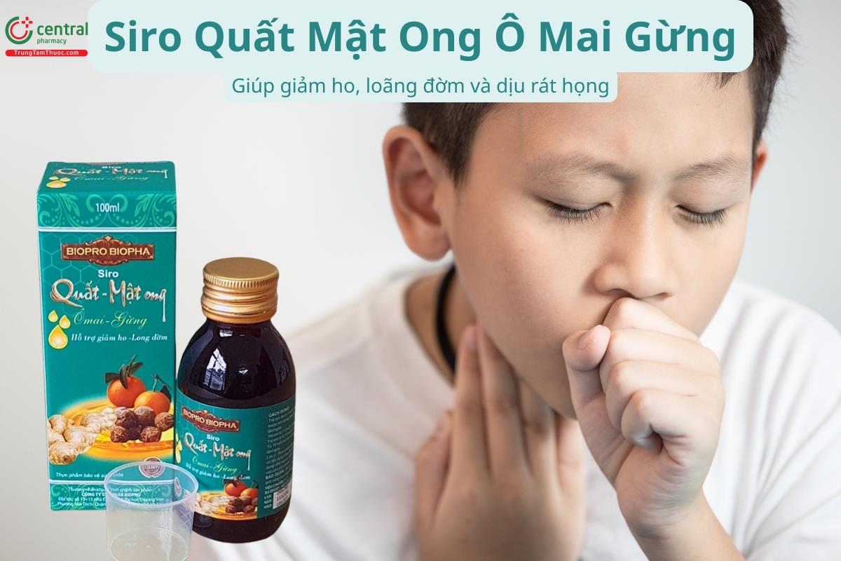 Siro Quất Mật Ong Ô Mai Gừng giúp giảm ho, loãng đờm và dịu rát họng