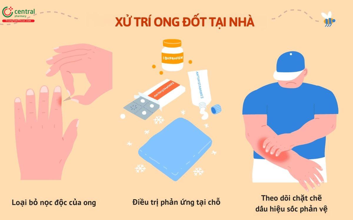 Bị ong đốt bôi gì? Mẹo chữa ong đốt hết sưng nhanh nhất tại nhà