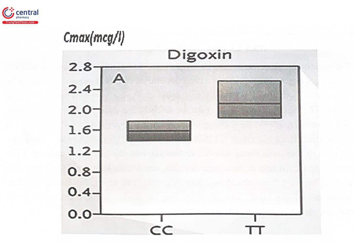 Hình 5.5. So sánh Cmas digoxin của hai nhóm bệnh nhân mang kiểu gen MDR1 khác nhau