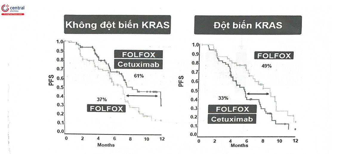 Hình 14.8. So sánh PFS giữa nhóm điều trị đơn độc với phác đồ FOLFOX và nhóm phối hợp FOLFOX - cetuximab ở bệnh nhân có và không mang đột biến KRAS
