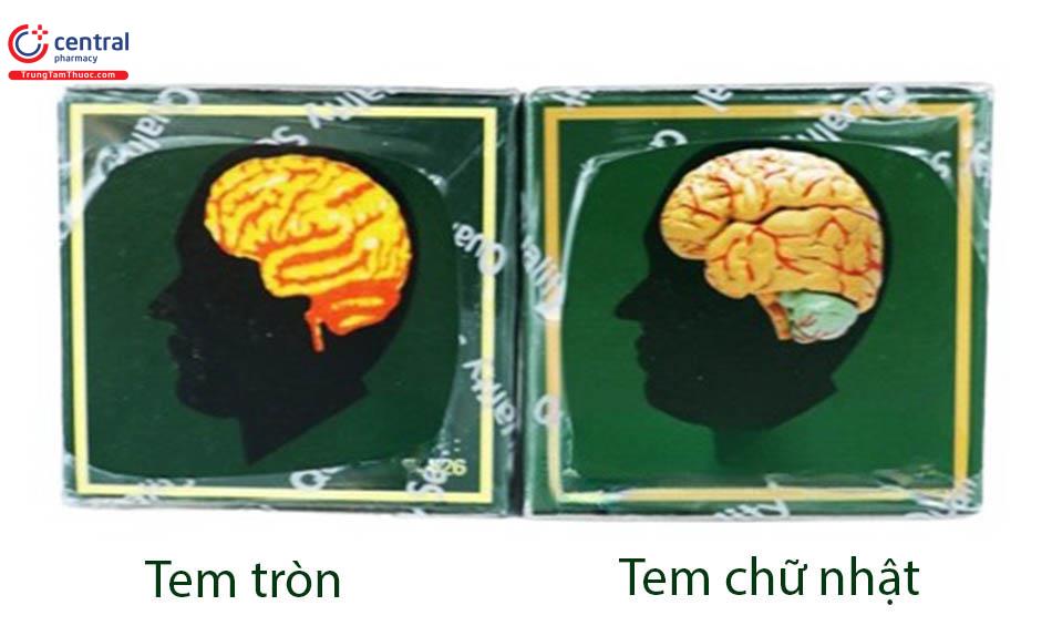 Hình 4: Mặt có hình não của 2 mẫu sản phẩm Professor's Pill 