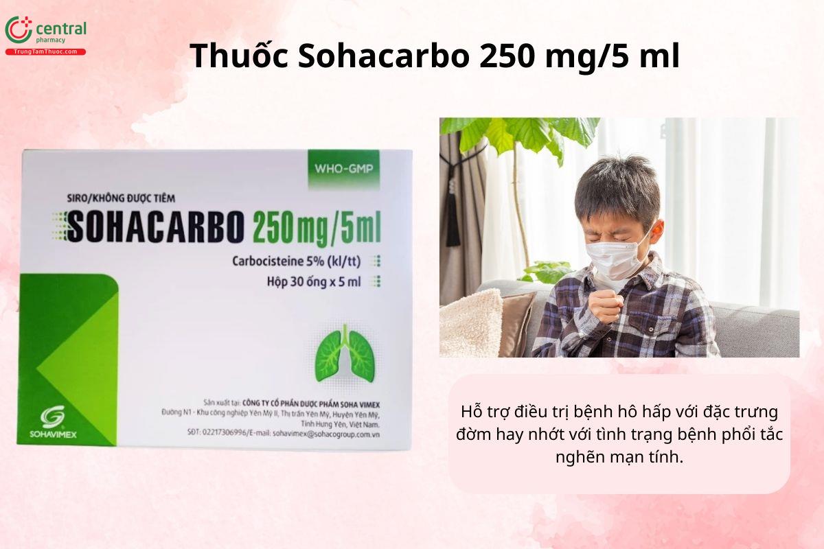 Chỉ định của thuốc Sohacarbo 250 mg/5 ml
