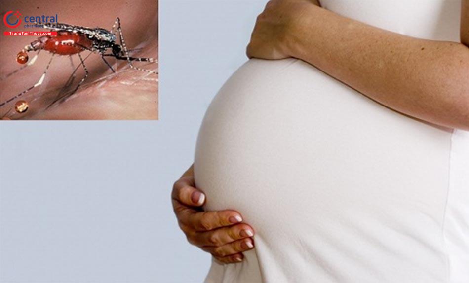Cân nhắc khi lựa chọn thuốc trị sốt rét cho phụ nữ mang thai