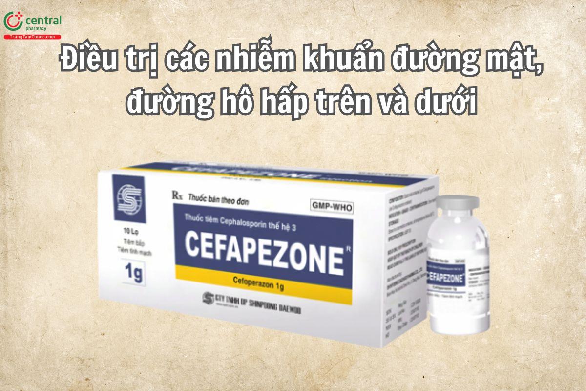SP Cefoperazone được sử dụng trong điều trị các nhiễm khuẩn nặng do vi khuẩn