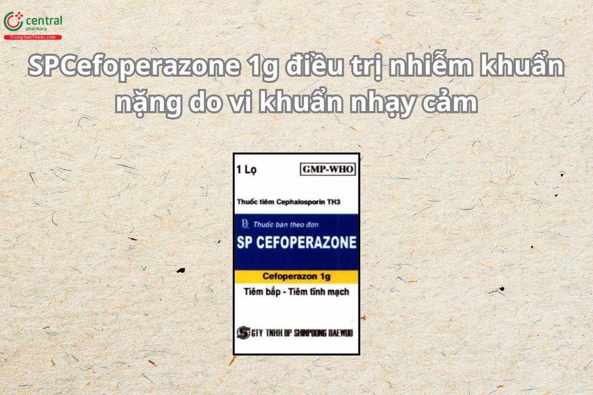 Thuốc SPCefoperazone 1g điều trị nhiễm khuẩn nặng do vi khuẩn nhạy cảm