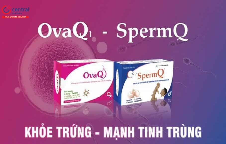 Spermq và Ovalq1
