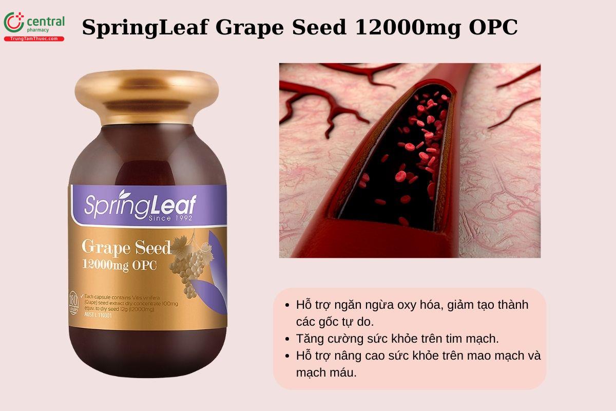 Công dụng của SpringLeaf Grape Seed 12000mg OPC