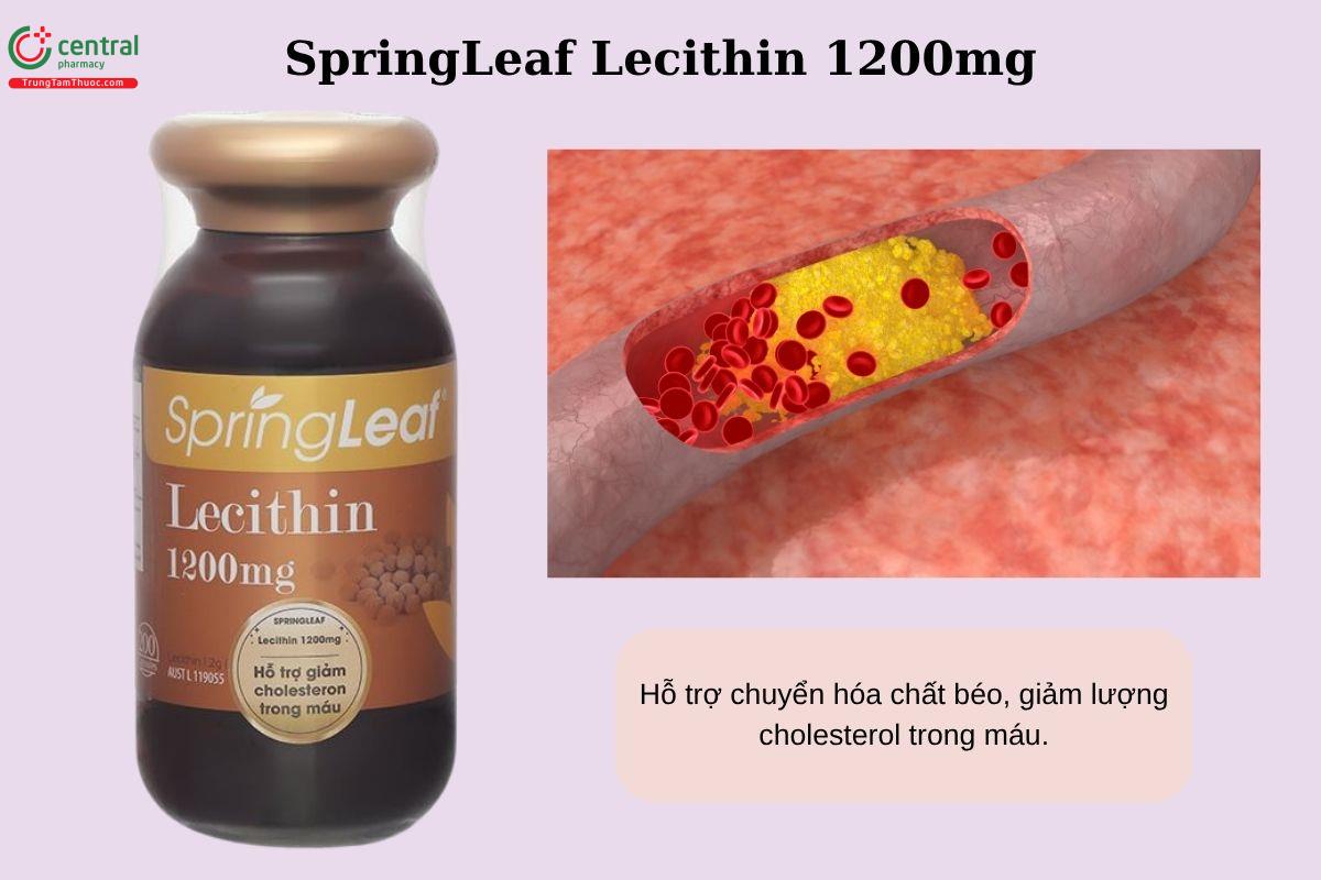 Công dụng của SpringLeaf Lecithin 1200mg