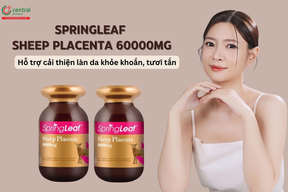 Sheep Placenta 60000mg SpringLeaf làm đẹp, ngăn ngừa lão hóa trên da