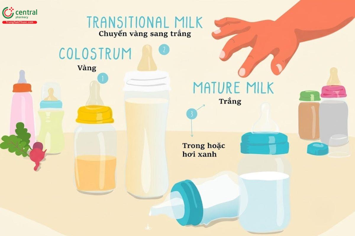 Sữa non có vai trò quan trọng với sức khỏe