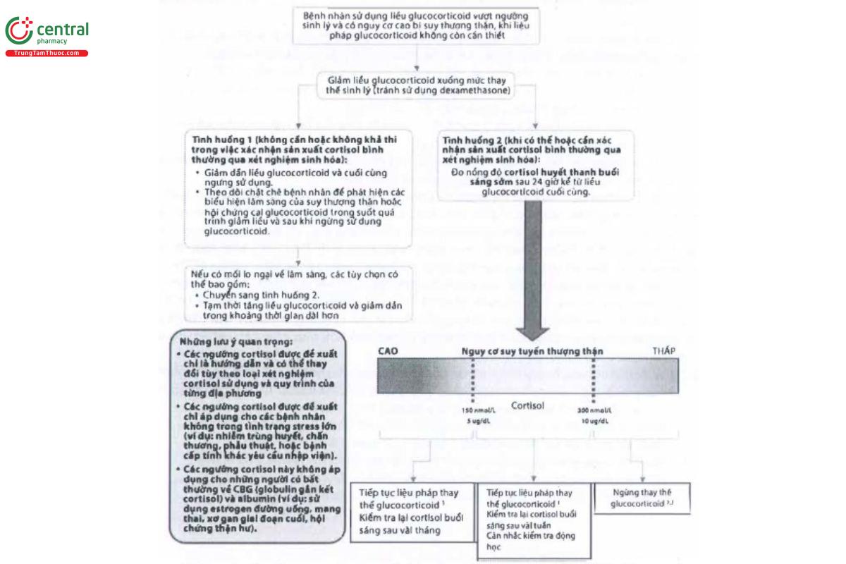 Hình 2: Phương pháp đề xuất để ngừng sử dụng glucocorticoid toàn thân