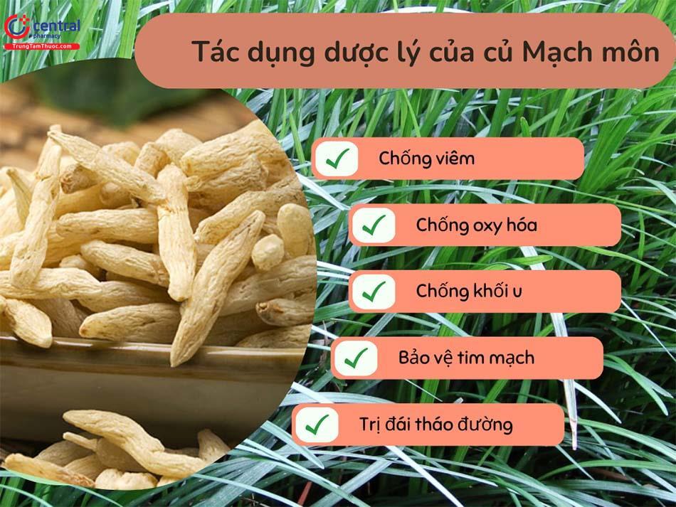 Tác dụng dược lý của rễ củ Mạch môn