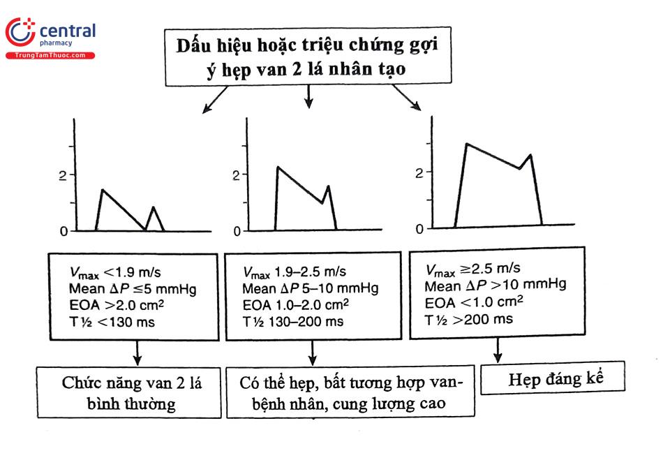 tắc nghẽn van tim nhân tạo