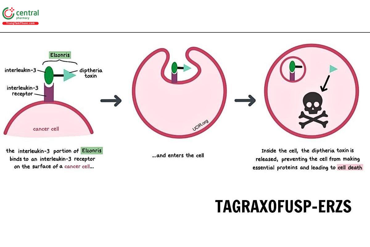 Cơ chế của Tagraxofusp-Erzs