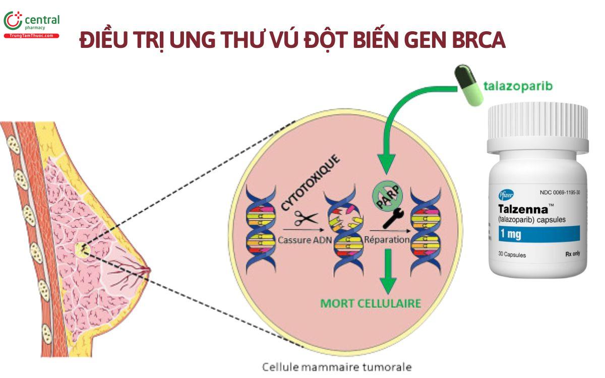 Chỉ định thuốc Talazoparib