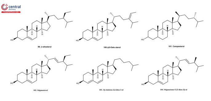Hình 4: Thành phần hóa học của Tâm sen